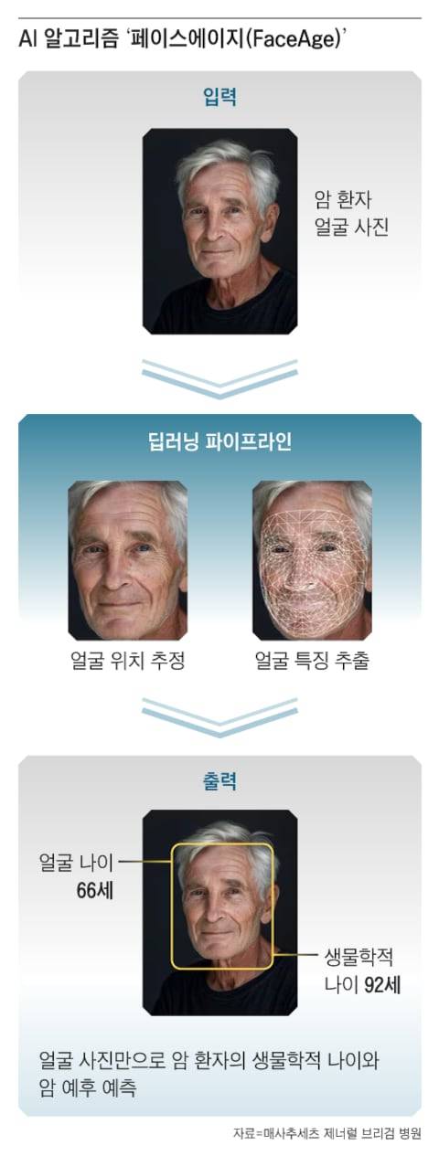 그래픽=조선디자인랩 권혜인