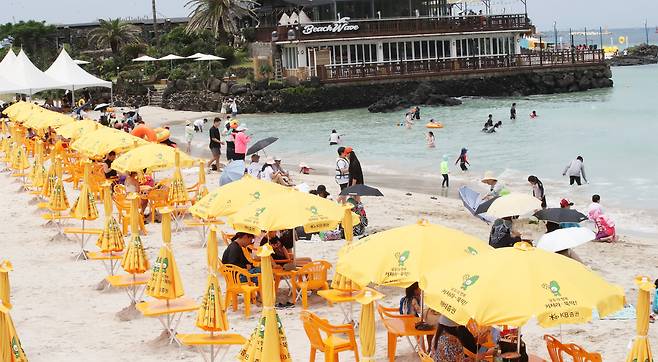 지난해 제주시 조천읍 함덕해수욕장에서 피서객들이 물놀이를 하고 있다./뉴스1