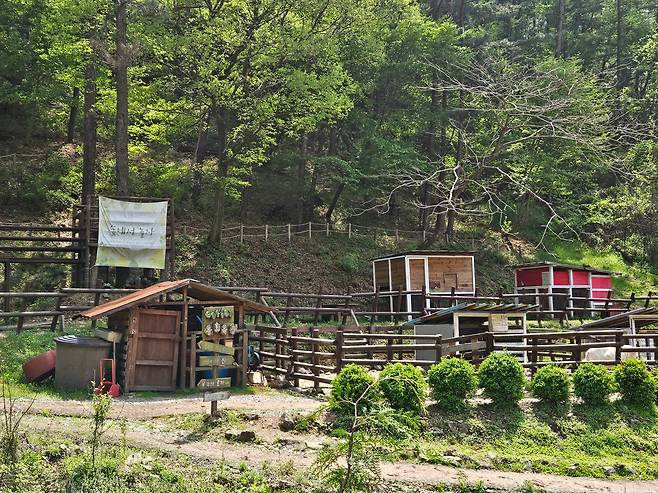 드림뜰 힐링팜의 동화목장과 숲 놀이터 모습. 산양과 토끼, 기니피그 등의 동물에게 먹이 주기 체험을 할 수 있다. /김민정 기자