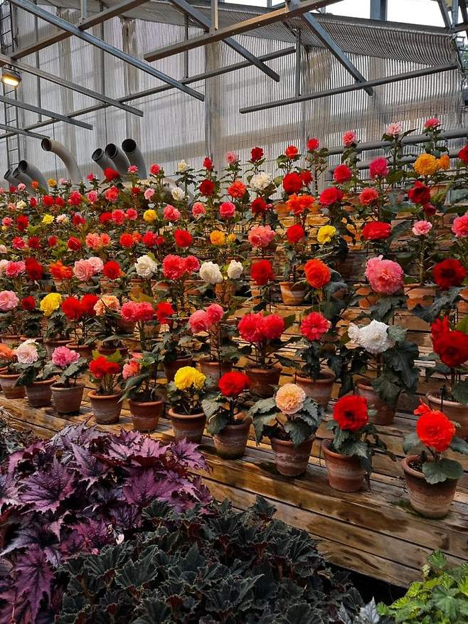 06bcdb27eae639aa658084e544847468e1b84aa8ac5e4f908abcd5f42f87176ec3941d11541de6fe9cc0d936048f75