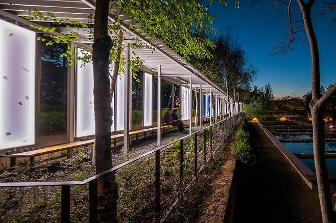 ‘그림자 아카이브’의 밤 풍경.  ⓒ유청오 작가