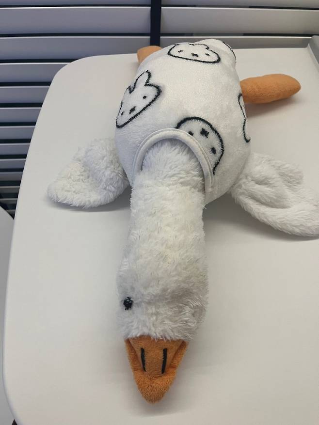 IMG_2344.jpeg 강아지 애착인형 수술 끝냈다