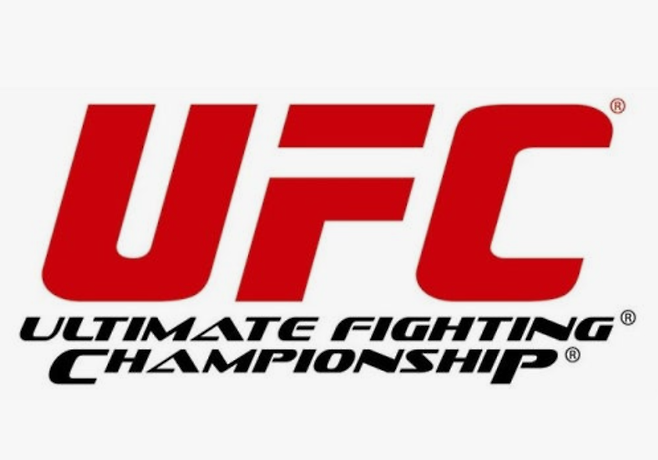 스턴건·코리안 좀비 은퇴 후 UFC 韓 파이터 주춤?