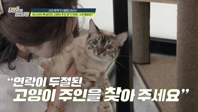 사진=채널A ‘탐정들의 영업비밀’