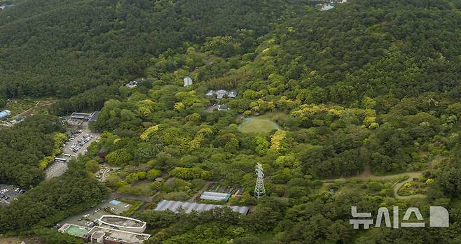 [제주=뉴시스] 임재영 기자= 제주에서는 관광객 유치 등을 위해 식물테마 정원이 일찍 들어선 가운데 제주도가 다른 자치단체보다 먼저 수목원을 조성했다. 1993년 개원한 제주시 연동 한라수목원은 시민의 힐링장소이자 국내외 유명 관광지로 성장했다. 10일 하늘에서 바라본 한라수목원 모습이다. 2025.05.11. ijy788@newsis.com