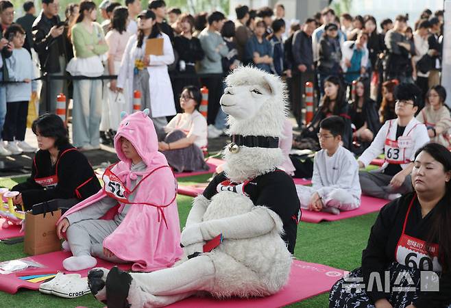[서울=뉴시스] 김진아 기자 = 11일 서울 반포한강공원 잠수교에서 열린 '2025 한강 멍 때리기 대회'에서 참가자들이 경연을 하고 있다. 2025.05.11. bluesoda@newsis.com