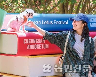 보호자가 아닌 다른 참가자에게도 귀염받는 강아지.