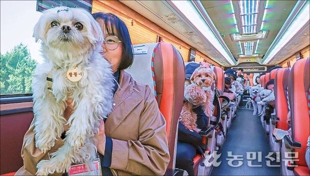 댕댕버스에선 반려견을 케이지 안에 넣지 않아도 된다.