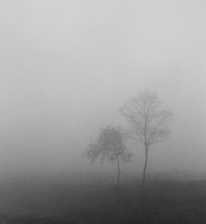 민병헌 作 ‘Deep fog’. /사유원 제공