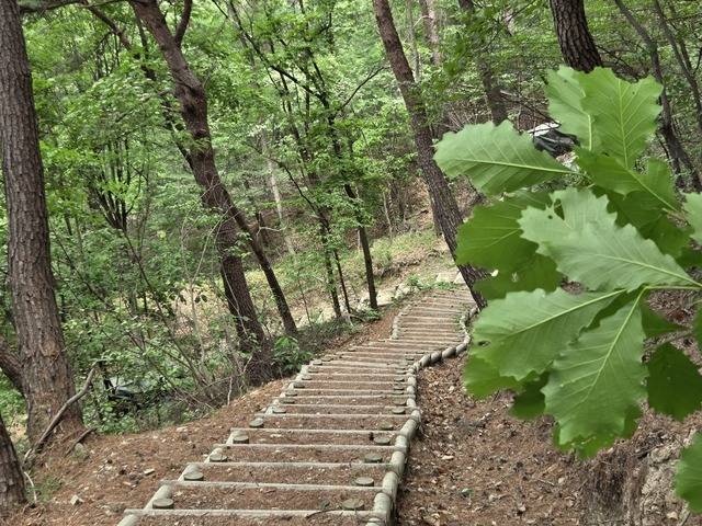 명활산성 둘레길에 조성한 산책로.