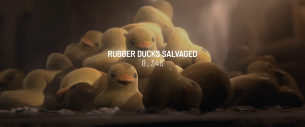 구조된 '고무 오리' 8346개