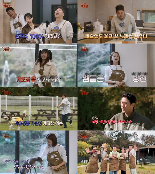 ‘집 나가면 개호강’ 강소라→‘아이브’ 레이, 댕댕이들에 체력 방전 (제공: JTBC)