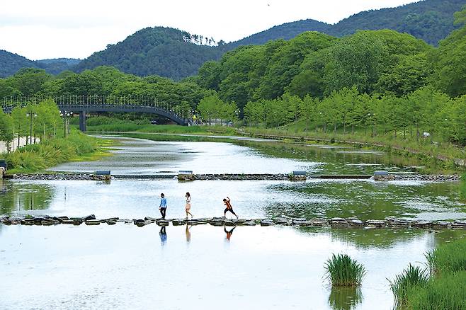 관방제림 앞 담양천