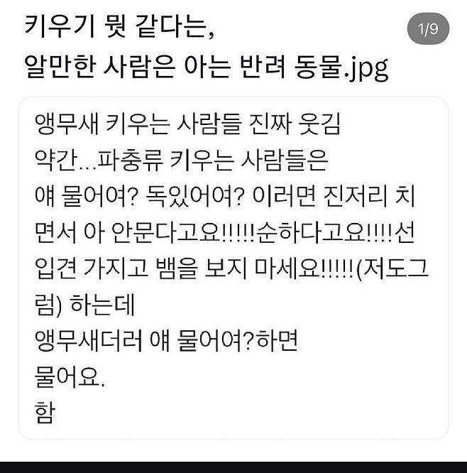 IMG_8709.jpeg 앵무새 키우는 사람들의 고충