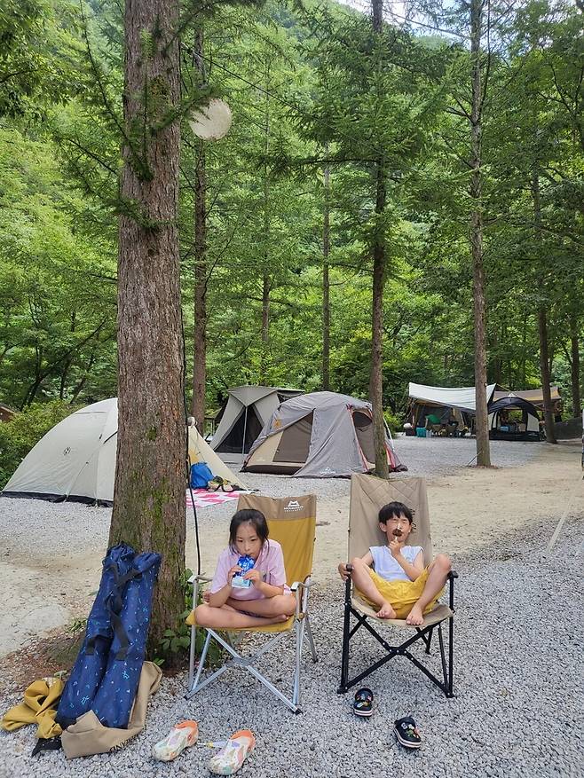 자연에서의 휴식과 다양한 활동을 통해 오감을 깨우는 아이들. 사진은 평소 캠핑을 자주 즐기는 강수연씨의 자녀 박세연, 박지환 어린이. 강수연씨 제공
