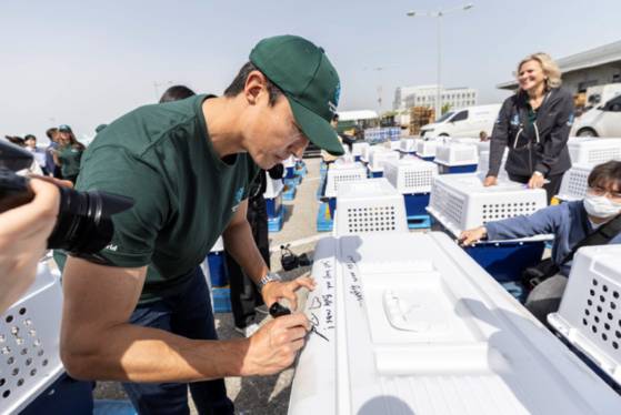 배우 다니엘 헤니가 지난 8일 구조한 개를 옮기는 케이지에 메시지를 적고 있다. 사진 휴메인 월드 포 애니멀즈