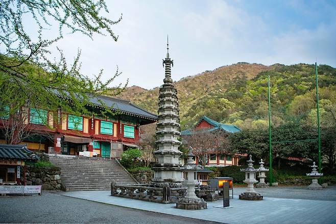 하동 쌍계사[한국관광공사 제공]