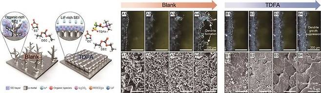 사진은 연구 논문 이미지. TDFA 첨가제가 리튬 금속 음극의 증착 형태에 미치는 영향을 나타낸 모식도와 우수한 덴드라이트 억제 효과. (사진=고려대 제공) *재판매 및 DB 금지