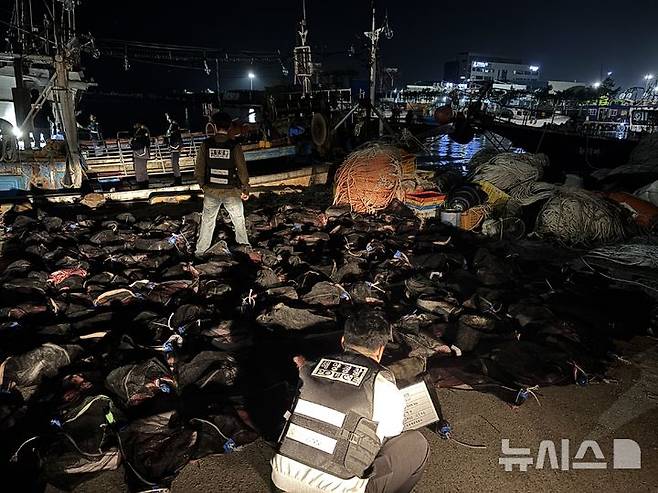 [포항=뉴시스] 경북 포항해양경찰서는 지난 7일 오후 불법으로 포획된 고래를 운반하던 어선을 검거해 어창에서 고래고기를 담은 자루를 전량 압수했다. (사진=포항해양경찰서 제공) 2025.05.12. photo@newsis.com