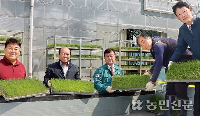 울산 농소농협 정성락 조합장(왼쪽 세번째)과 임직원들이 벼 자동화 육묘센터에서 농가에 출고할 모판을 트럭에 싣고 있다.