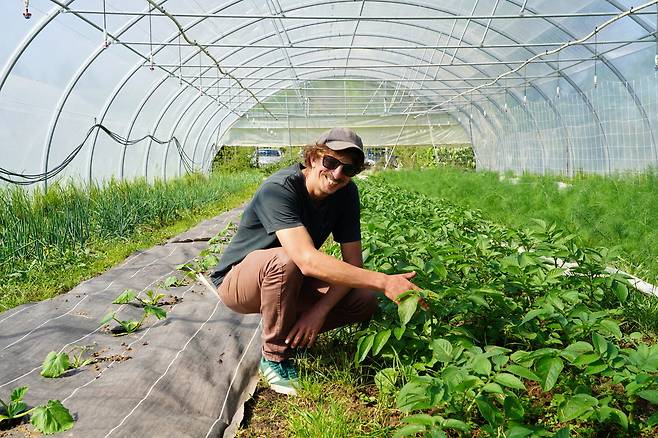 예비 농부 바티스트 튀를레가 지난 4월 10일(현지시간) ‘레소르 마레셰’에 있는 자신의 비닐하우스에서 감자를 살피고 있다. 대산농촌재단 제공