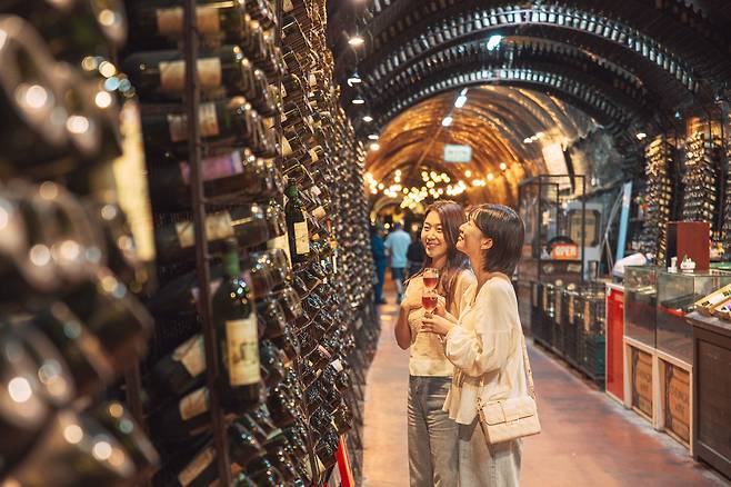 감와인과 예술을 함께 즐길 수 있는 청도 감와인 터널. /청도군제공