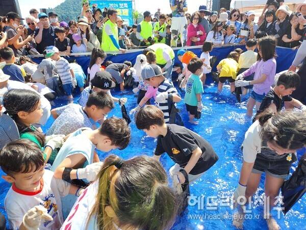 지난해 열린 제20회 보목자리돔 축제. (사진=서귀포시)&nbsp;