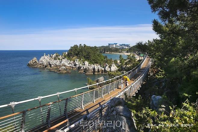 동해 추암 촛대바위 출렁다리