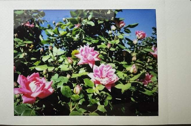 0490f719b2866af720b5c6b236ef203ec590d63546eaefaebc