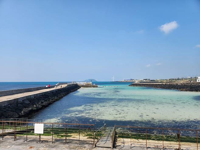 1000015281.jpg 제주 3달살기 5일차 기록입니다.