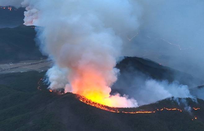영남 산불은 한반도 초유의 재난이었다. 이번 산불 당시 야간에 비화 현상 때문에 산불이 더욱 번지고 있는 모습. 기후위기기록단