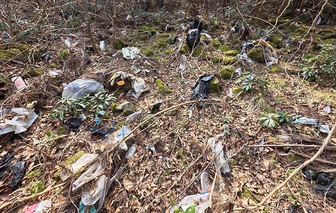 (사)곶자왈사람들 제공