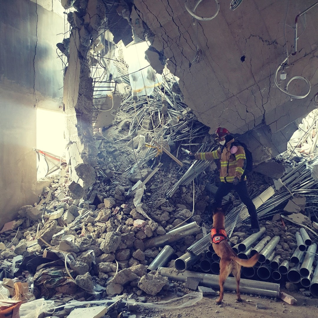 ▲강원도 특수대응단 양양항공대 소속 전인술 소방장과 구조견 헤라가 2022년 1월 발생한 광주 신축 아파트 붕괴사고 현장에서 실종자 수색을 하고 있는 모습.