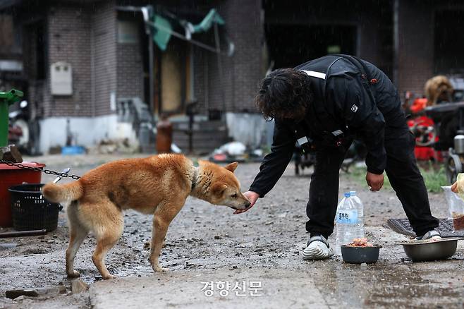 박정미씨가 산불로 주택이 소실돼 주민이 떠난 집에 묶인 강아지에게 간식을 건네고 있다.