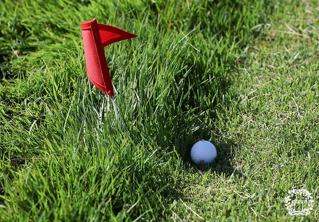 까다로운 코스 세팅으로 메이저 대회 다운 변별력을 보인 지난 해 하이트진로 챔피언십의 대회 코스. [사진=KLPGA]