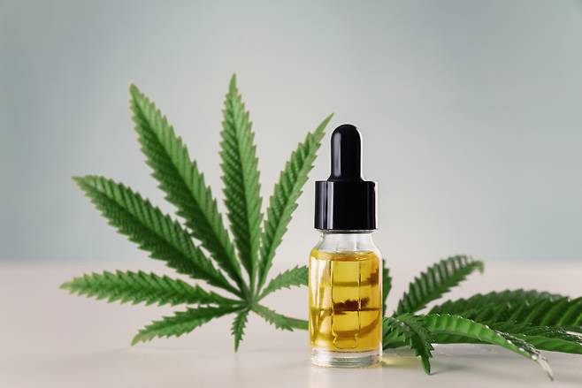 사진은 기사의 이해를 돕기 위한 이미지.[123RF]