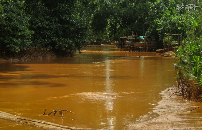 ▲인도네시아 북말루쿠 오비 섬 카와시 아케라모 강에 흘러 들어간 퇴적물 (출처: People’s Ecology and Emancipation Action (AEER))