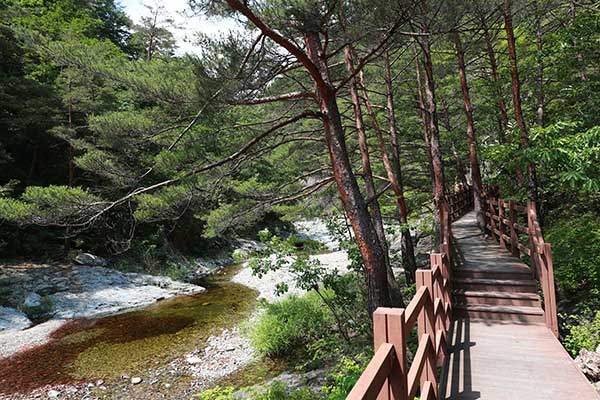 백암산 신선계곡에는 군데군데 데크길이 잘 조성돼 있다.