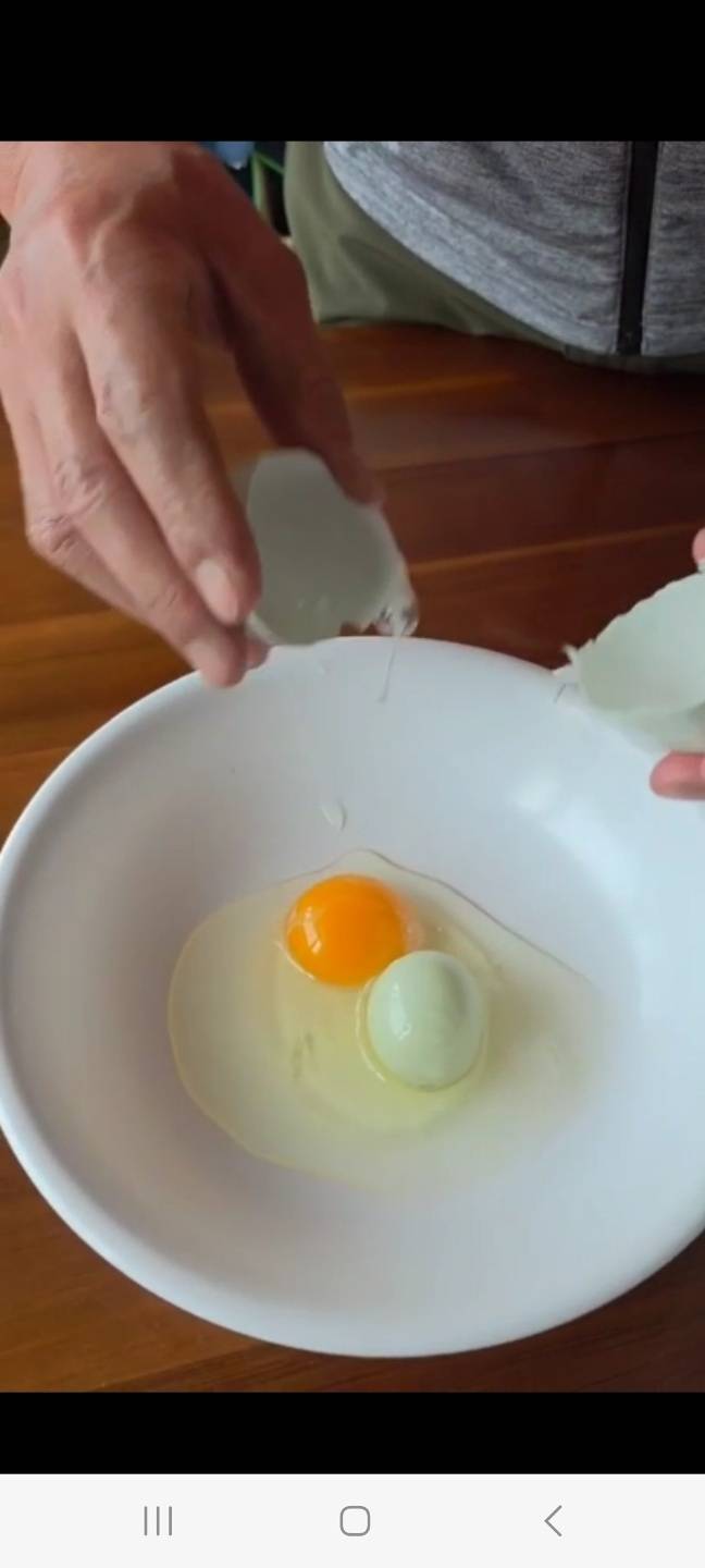‘달걀 속의 달걀’에서 노른자,&nbsp;흰자가 섞인 것과 다른 알이 나왔다. 조광현씨 제공 영상 캡처