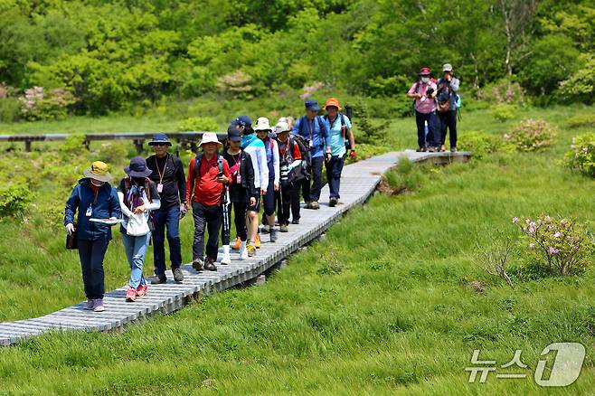 대암산 용늪(인제군 제공. 재판매 및 DB금지)/뉴스1