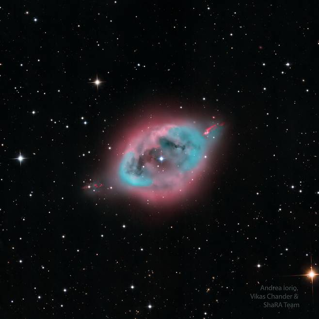 NGC 1360 성운의 모습./Andrea Iorio, Vikas Chander & ShaRA Team