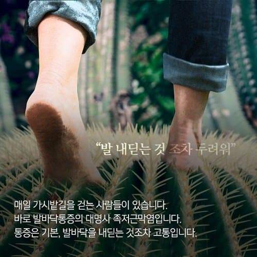 26b5d128da8b1ca578eaf0fb1cc1231d3976409eaa0c3288b5bc87