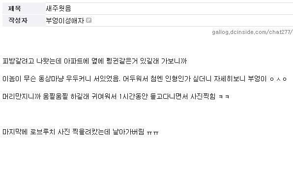 1.jpg 길가다 부엉이를 주운 디시인 길가다 부엉이를 주운 디시인 길가다 부엉이를 주운 디시인