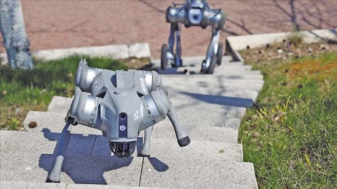 중국 항저우에 본사를 둔 로봇기업 유니트리로보틱스가 개발한 로봇 개 ‘GO2’가 계단을 오르고 있다. 로이터연합뉴스