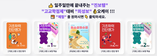 고교학점제 도입 이후 최소성취수준 보충지도 업무를 경감해준다고 홍보하는 B 업체. 홈페이지 갈무리