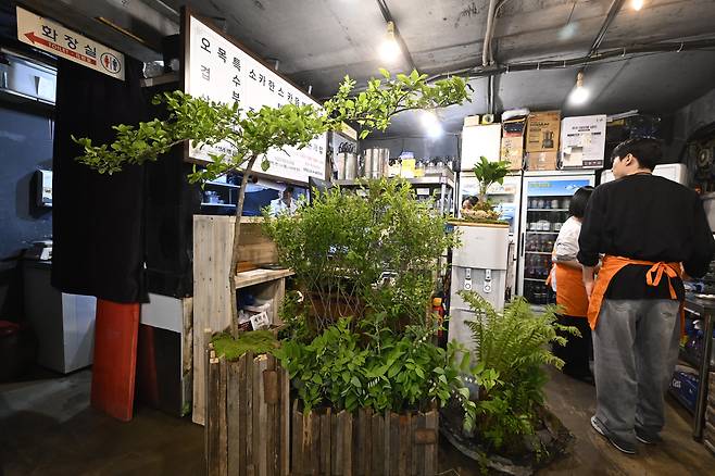 A restaurant in Mapo District, western Seoul, is decorated with demilitarized zone-sourced plants and barbed wire on May 9. [MINISTRY OF UNIFICATION]