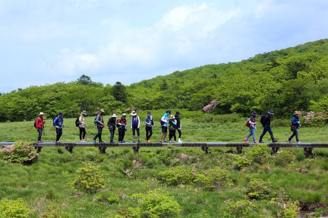 인제 대암산 용늪. 인제군청 제공
