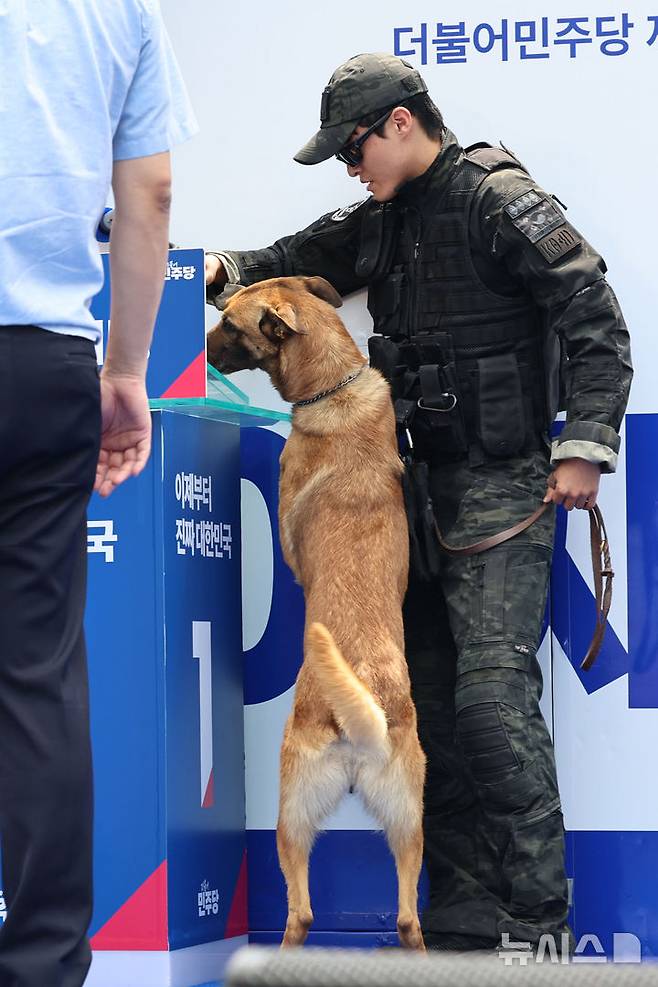 [대구=뉴시스] 권창회 기자 = 13일 대구 중구 동성로 광장에서 이재명 더불어민주당 대선 후보의 집중유세 시작 전 경찰 관계자와 폭발물 탐지견이 수색을 하고 있다. 2025.05.13. kch0523@newsis.com