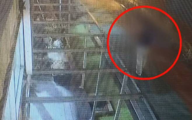 지난 3월 2일 밤 충남 서천군 서천읍 사곡리의 한 도로에서 우산을 쓰고 걸어가는 40대 여성 피해자의 모습이 담긴 폐쇄회로(CC)TV 영상. 채널A 보도화면 캡처