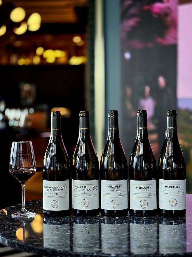 도멘 샹송 피노누아. 최현태 기자